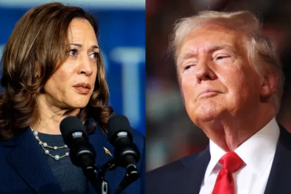 Dois em cada três americanos temem uma explosão de violência após as eleições/Créditos: AFP Dois em cada três americanos temem uma explosão de violência após as eleições/Créditos: AFP