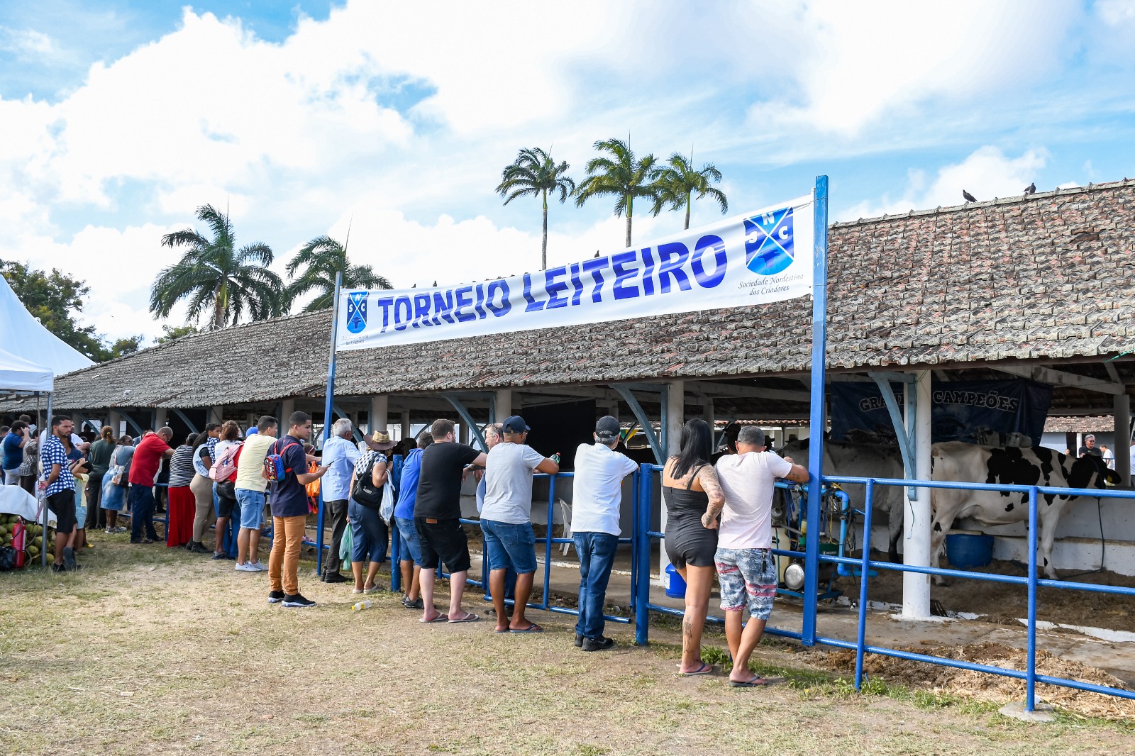 /Foto: Divulgação /Foto: Divulgação