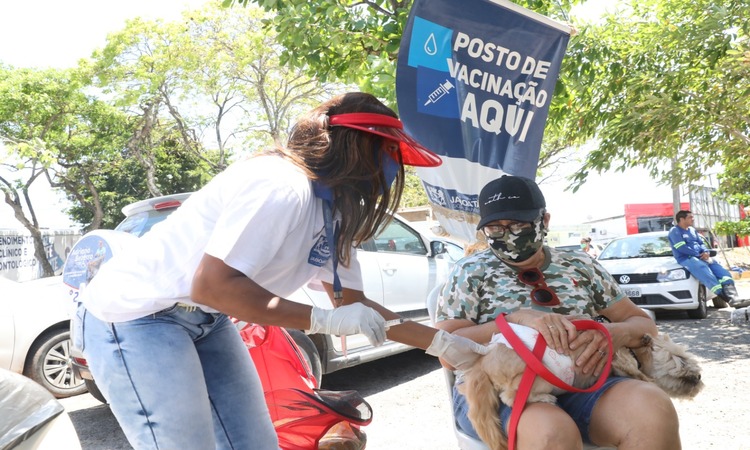 A meta da Secretaria Municipal de Saúde é vacinar aproximadamente 80 mil pets/Foto: Chico Bezerra/PMJG A meta da Secretaria Municipal de Saúde é vacinar aproximadamente 80 mil pets/Foto: Chico Bezerra/PMJG