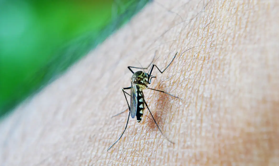 Segundo a pasta, o novo levantamento, divulgado nesta quarta-feira (6), aponta 29.832 casos prováveis de dengue (casos em investigação   casos confirmados), no Estado
