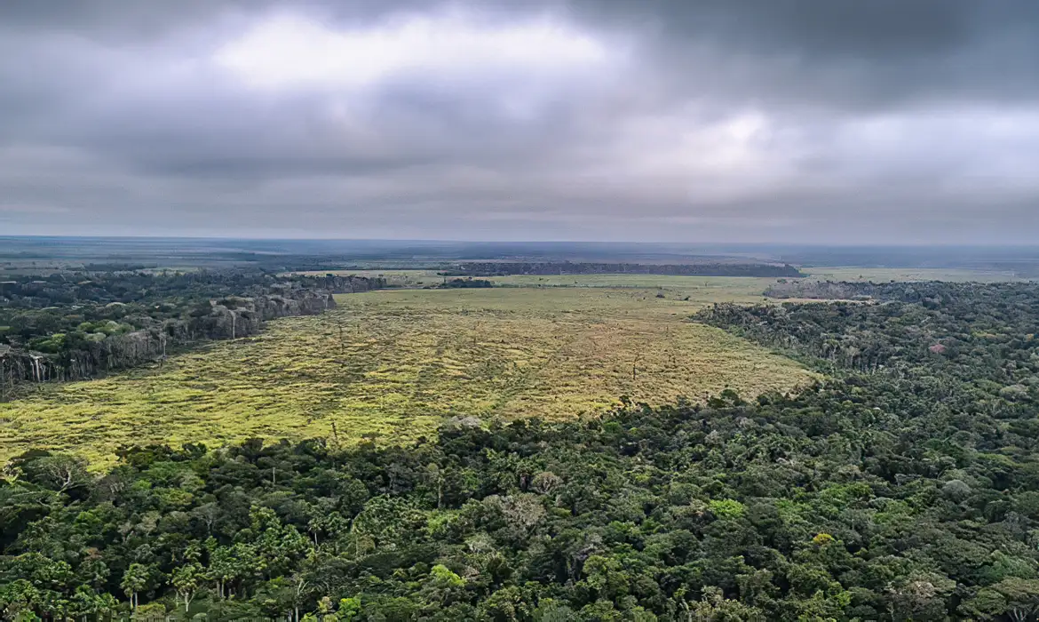 Os dados demonstram uma queda de 30,6% do desmatamento na Amazônia em relação a 2023/foto: Polícia Federal/divulgação Os dados demonstram uma queda de 30,6% do desmatamento na Amazônia em relação a 2023/foto: Polícia Federal/divulgação
