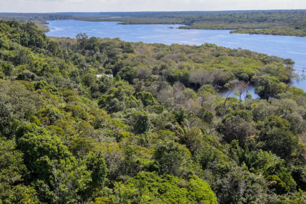 Segundo o observatório, essa é a maior queda percentual nas emissões desde 2009/Crédito: Agência Brasil Segundo o observatório, essa é a maior queda percentual nas emissões desde 2009/Crédito: Agência Brasil