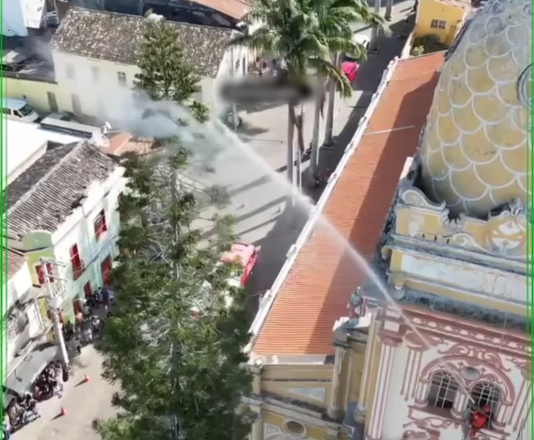 O caso aconteceu na &uacute;ltima sexta-feira (8), quando bombeiros lan&ccedil;aram um jato de &aacute;gua contra o animal,que estava no topo de um pinheiro/Foto: Reprodu&ccedil;&atilde;o/Instagram