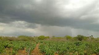 Sertão tem previsão de chuva até forte/Foto: Arquivo