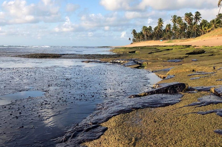 As praias do Nordeste foram cobertas por cinco mil toneladas de óleo que haviam sido derramados no mar entre agosto de 2019 e março de 2020/Foto: Instituto Bioma