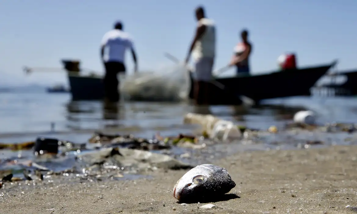 De acordo com o instituto, a sujeira presente nos mares e rios representa um impacto de 100 bilhões de dólares a setores como o turismo, pesca e aquicultura/Foto: Tânia Rêgo/Agência Brasil De acordo com o instituto, a sujeira presente nos mares e rios representa um impacto de 100 bilhões de dólares a setores como o turismo, pesca e aquicultura/Foto: Tânia Rêgo/Agência Brasil