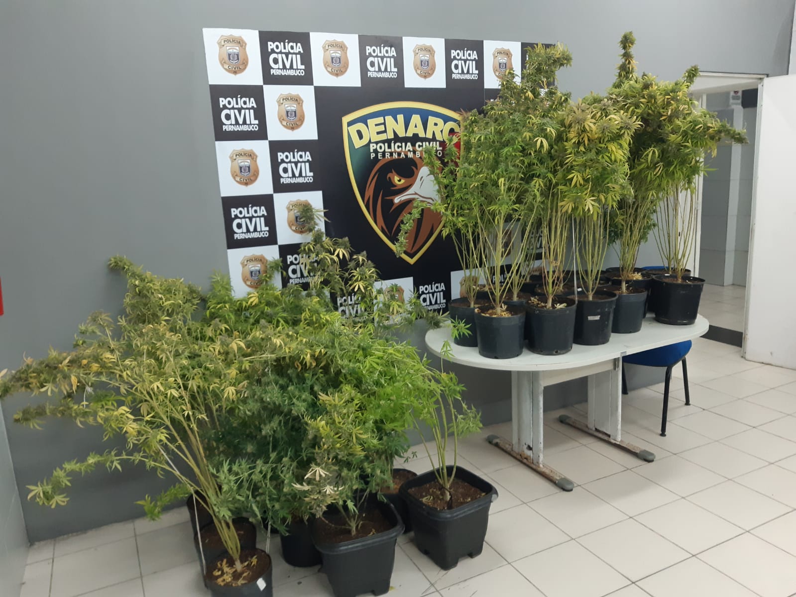 Após detidos e apreendidos os objetos, todos foram conduzidos à 1ª DPRN, onde restaram autuados em flagrante delito e aguardarão apresentação em audiência de custódia/Foto: PCPE