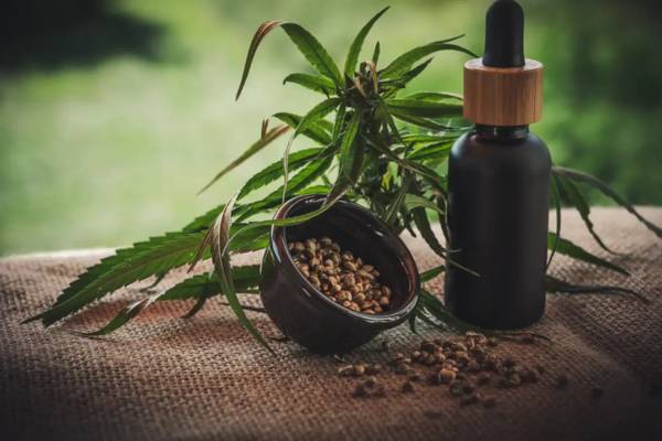 A projeção é de que o faturamento chegue a R$ 1 bilhão em 2025/Crédito: Pixabay