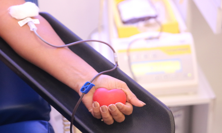Os estoques de sangue do Hemope estão baixos em todos os grupos sanguíneos (Foto: Arquivo/DP) Os estoques de sangue do Hemope estão baixos em todos os grupos sanguíneos/Foto: Arquivo/DP