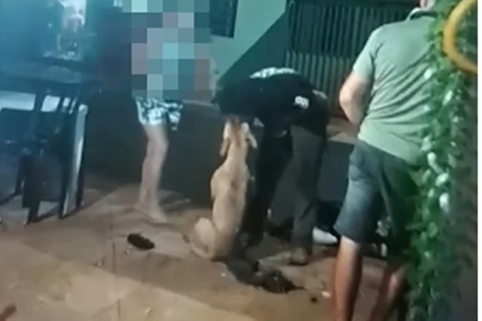Caso ocorreu no estado em Goiás/foto: Reprodução Caso ocorreu no estado em Goiás/foto: Reprodução