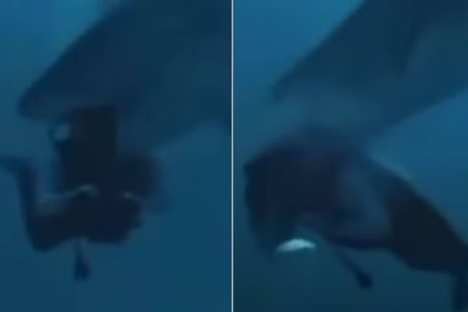 A vítima é um homem de nacionalidade chinesa