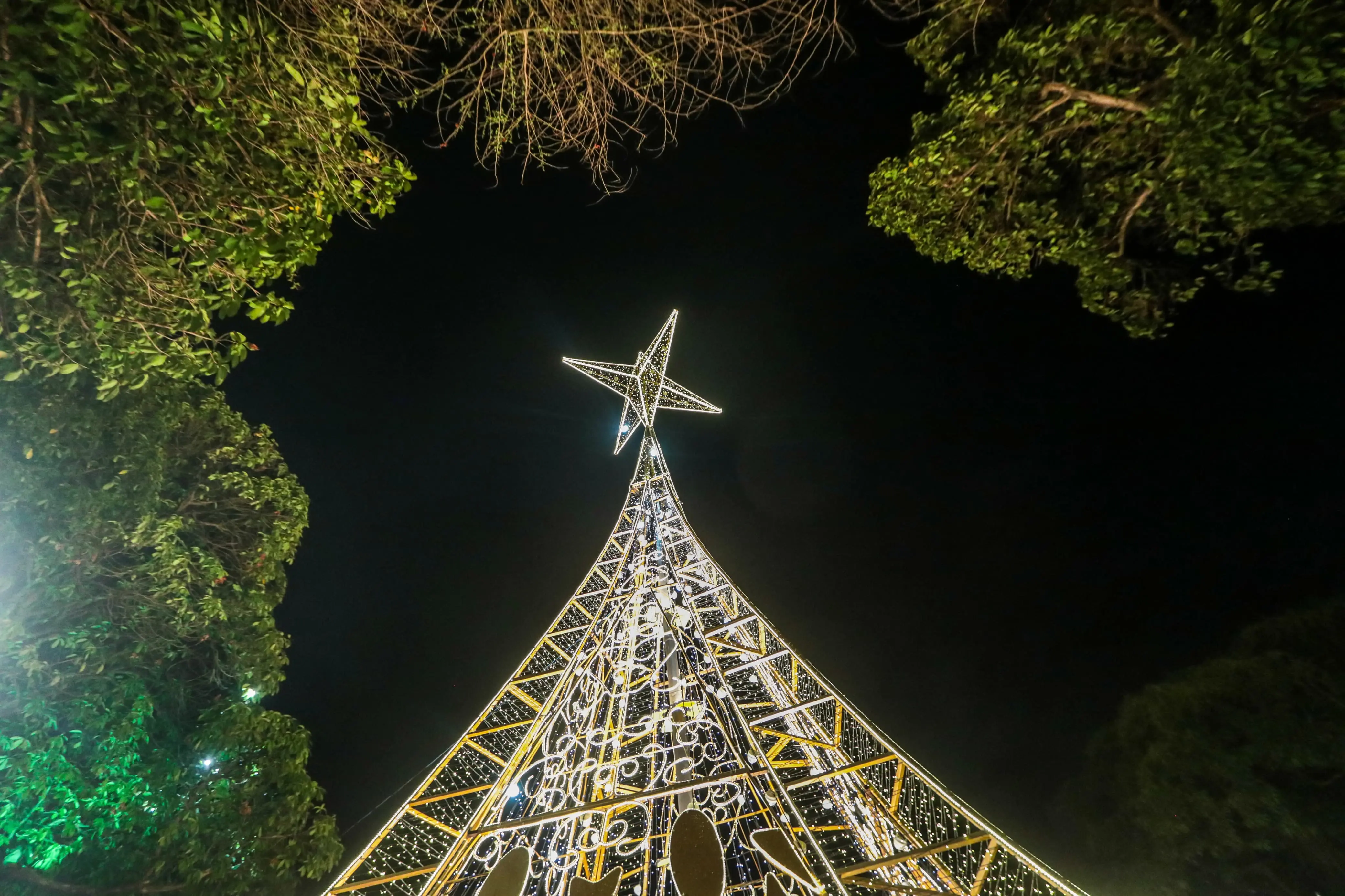 Para membros de algumas religiões, o Natal é uma data sagrada/Foto: Ruan Pablo/DP Foto Para membros de algumas religiões, o Natal é uma data sagrada/Foto: Ruan Pablo/DP Foto