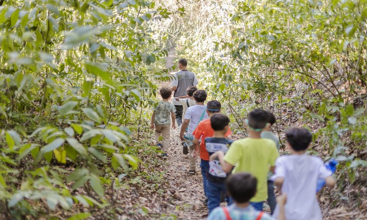 A programação do mês inclui trilhas interpretativas pela floresta, oficinas, jogos, apresentações culturais, atividades educativas, visitas aos bastidores do parque e o "zoo noturno"/Foto: Vanessa Lyra