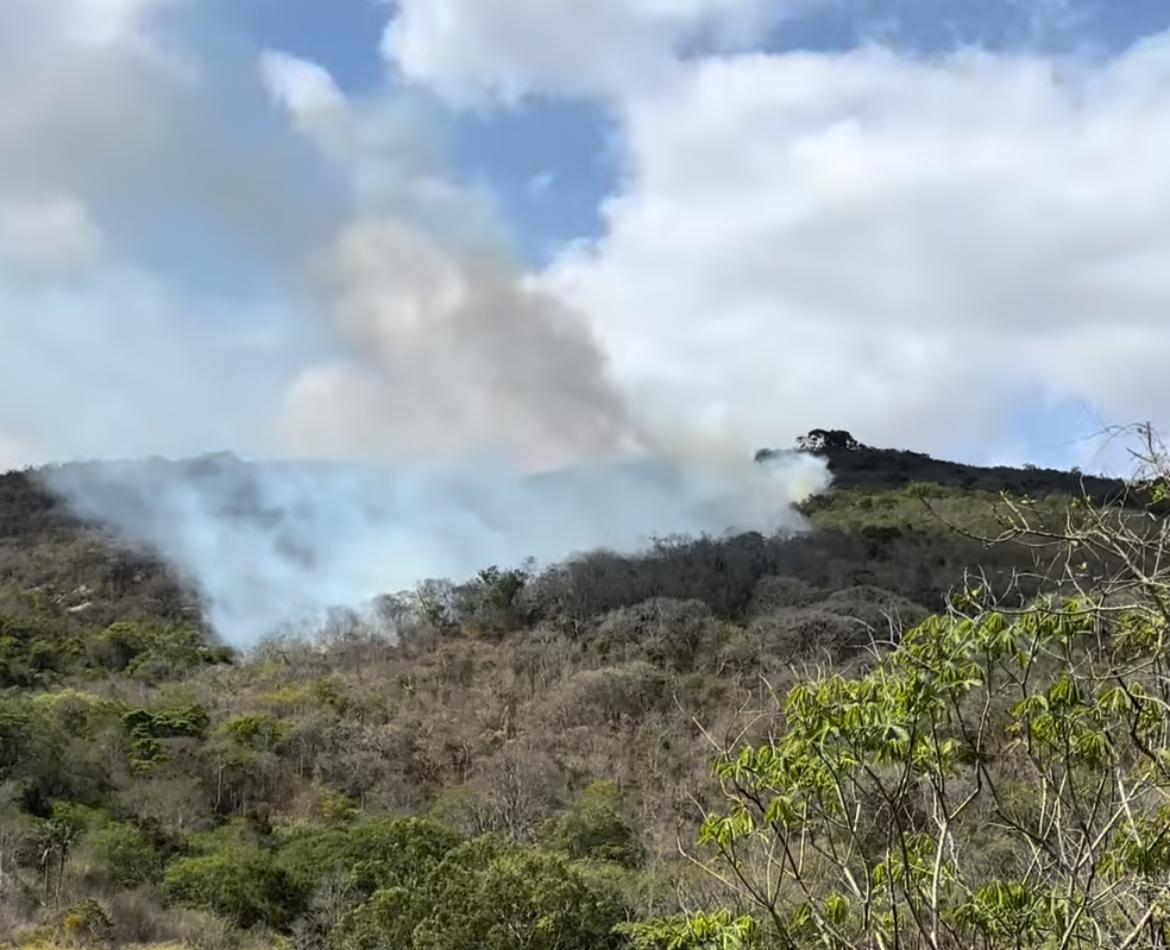 Fogo atinge área em Taquaritinga do Norte/Foto: Redes Sociais Fogo atinge área em Taquaritinga do Norte/Foto: Redes Sociais
