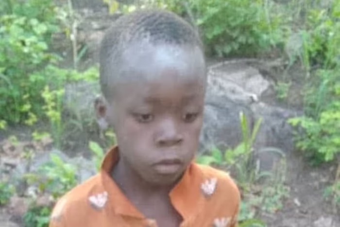 Menino passou cinco dias dormindo em um "poleiro rochoso" cercado por leões e elefantes