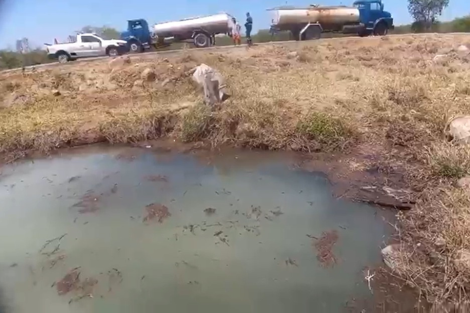 /Foto: Divulga&ccedil;&atilde;o/ Compesa