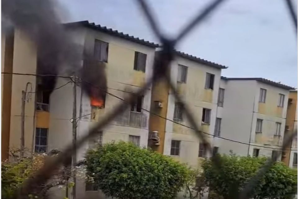 /Foto: Reprodução