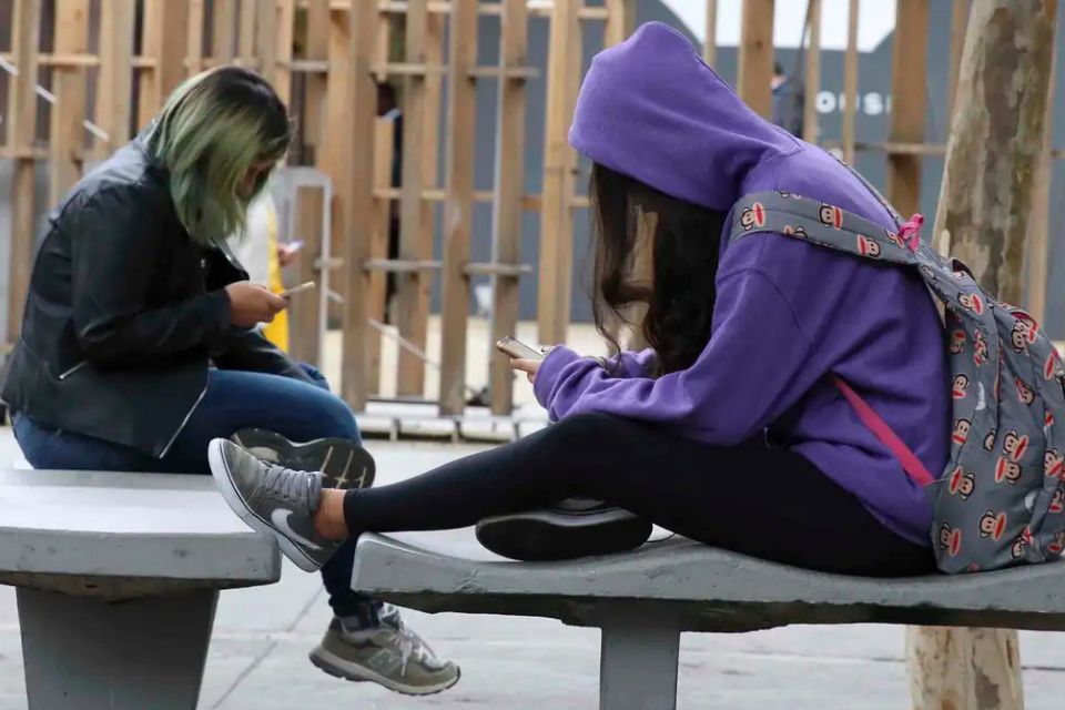 A principal justificativa para a nova lei é proteger as crianças e adolescentes dos impactos negativos das telas para a saúde mental, física e psíquica/foto: Rovena Rosa/Agência Brasil A principal justificativa para a nova lei é proteger as crianças e adolescentes dos impactos negativos das telas para a saúde mental, física e psíquica/foto: Rovena Rosa/Agência Brasil