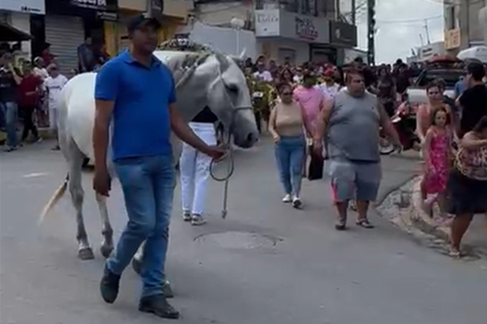 Cavalo Roxinho era o xodó do delegado Belarmino Júnior/Aimé Kyrillo