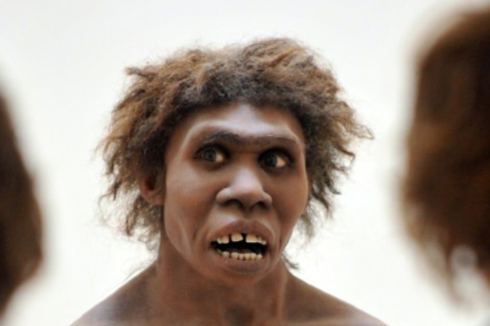 Representação do Homo erectus/foto: AFP/Arquivos Representação do Homo erectus/foto: AFP/Arquivos