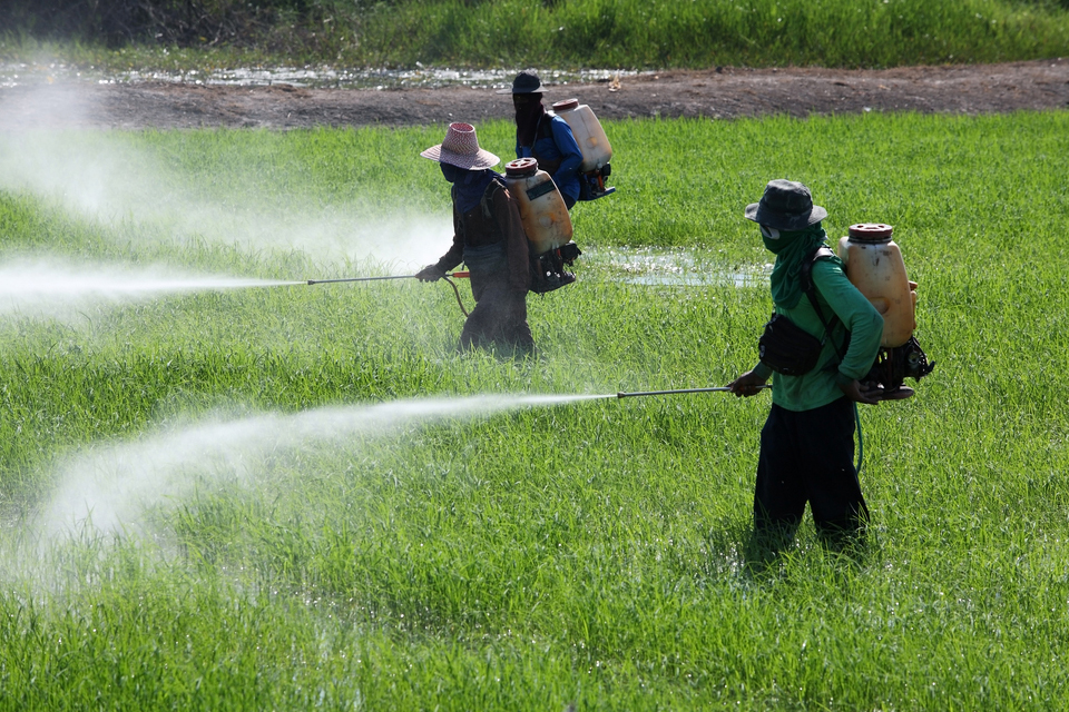 /Ag&ecirc;ncia Brasil