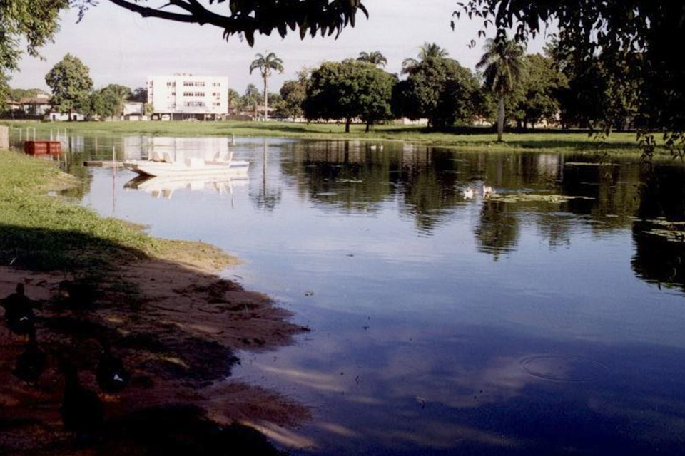 Registro foi feito em área próxima ao Lago do Cavouco, no campus da UFPE/Divulgação/UFPE Registro foi feito em área próxima ao Lago do Cavouco, no campus da UFPE/Divulgação/UFPE