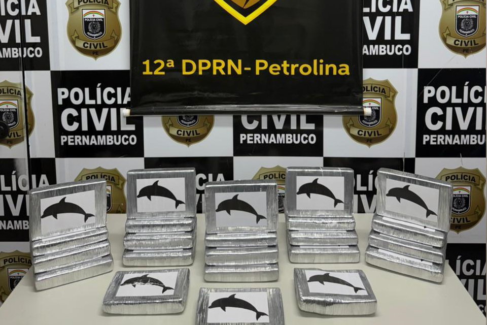 /Divulgação/Polícia Civil /Divulgação/Polícia Civil