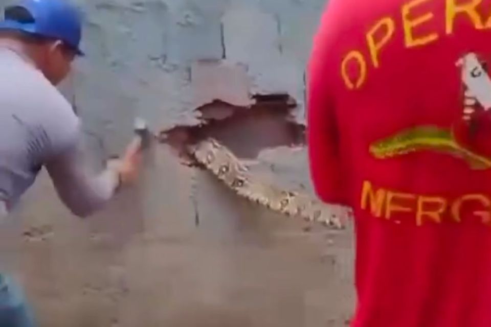 /Foto: Reprodu&ccedil;&atilde;o/Instagram