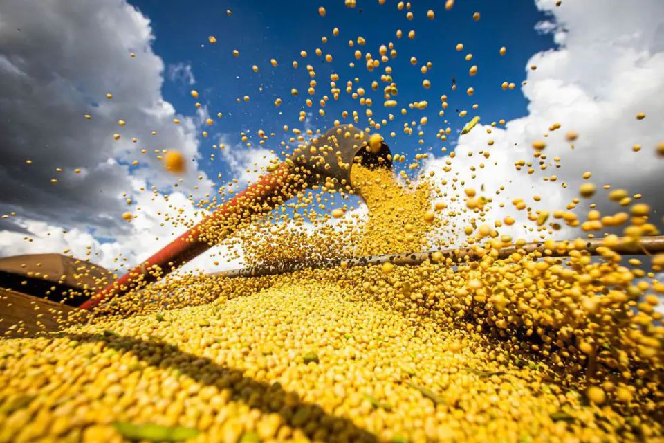 O Ministério da Agricultura e Pecuária (Mapa) brasileiro disse que foi informado previamente pelo governo chinês da suspensão e que ações para avaliação dos casos já estão em curso/foto: Wenderson Araujo/Trilux O Ministério da Agricultura e Pecuária (Mapa) brasileiro disse que foi informado previamente pelo governo chinês da suspensão e que ações para avaliação dos casos já estão em curso/foto: Wenderson Araujo/Trilux