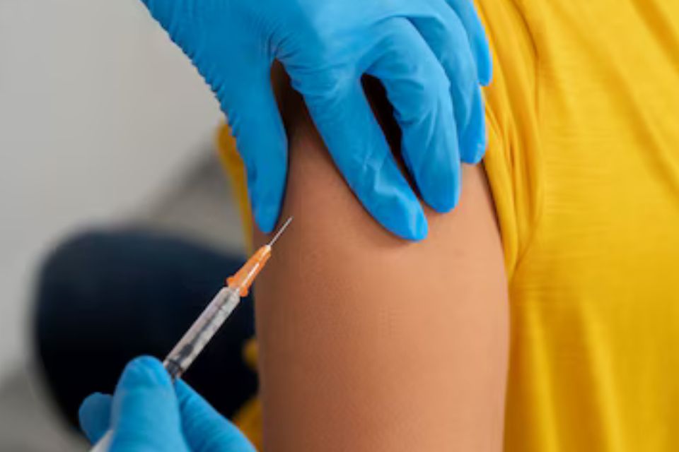 A vacina é produzida pelo Instituto Butantan e pela farmacêutica franco-austríaca Valneva/foto: Freepik A vacina é produzida pelo Instituto Butantan e pela farmacêutica franco-austríaca Valneva/foto: Freepik