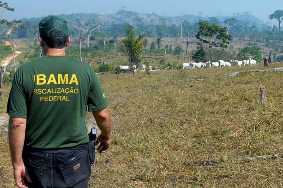 /Foto: Arquivo/Ag&ecirc;ncia Brasil