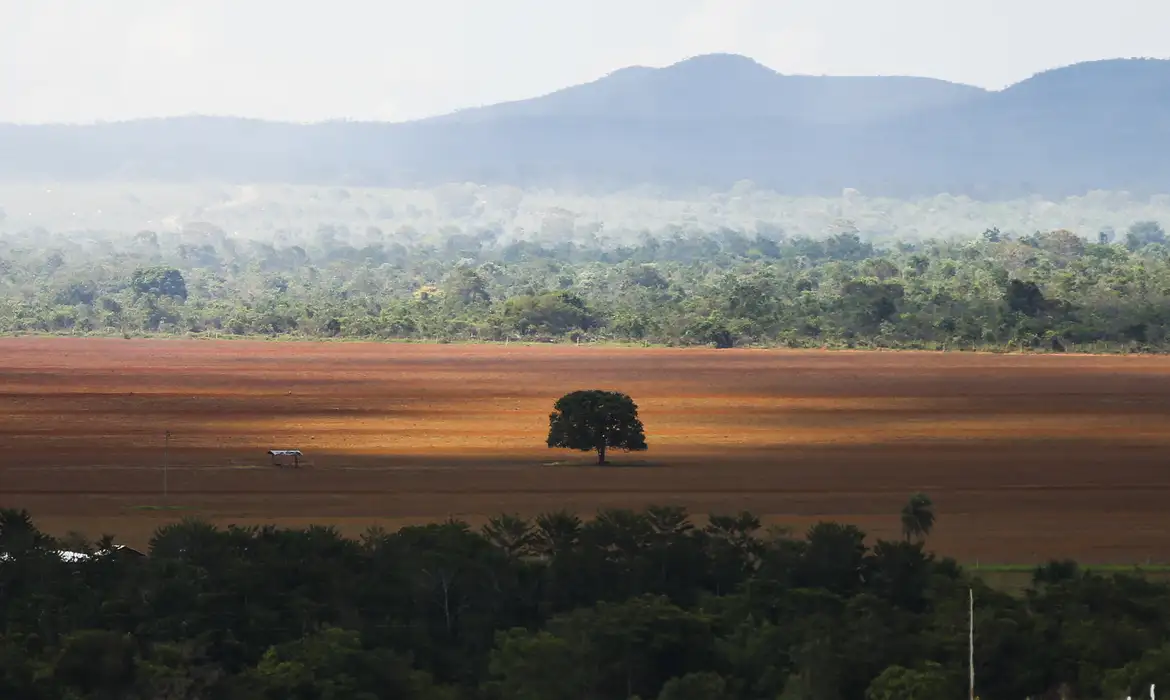 /Foto Marcelo Camargo/Agência Brasil /Foto Marcelo Camargo/Agência Brasil