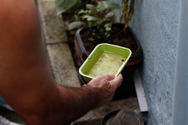 /Foto: Fernando Frazão/Agência Brasil /Foto: Fernando Frazão/Agência Brasil