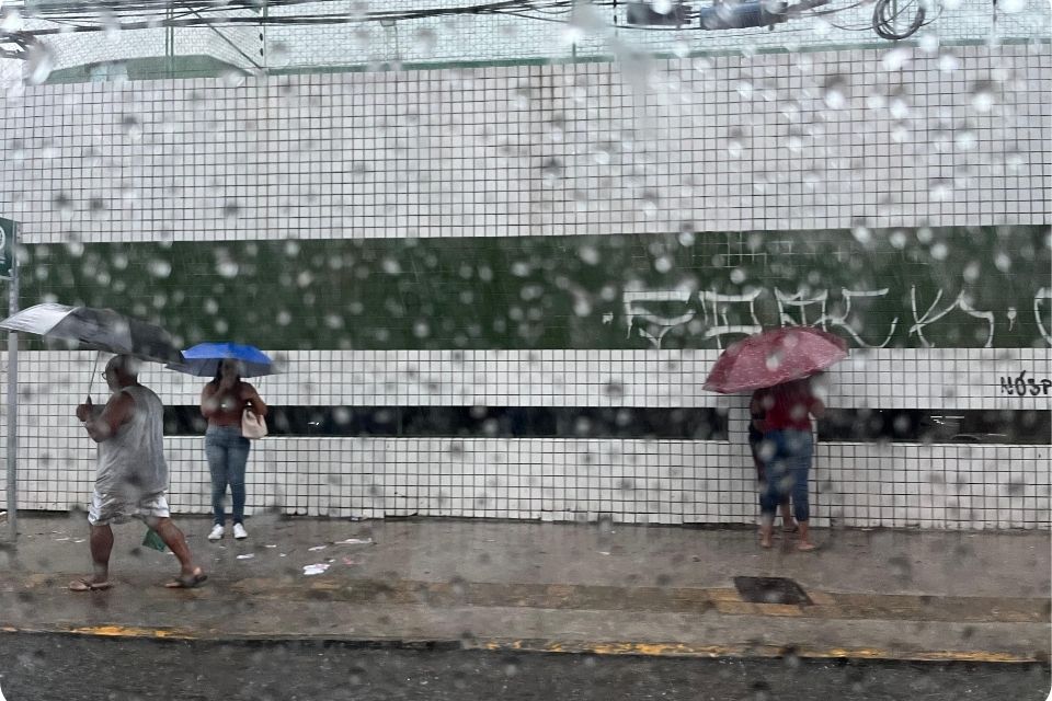 /Foto: Marina Torres/DP Foto
