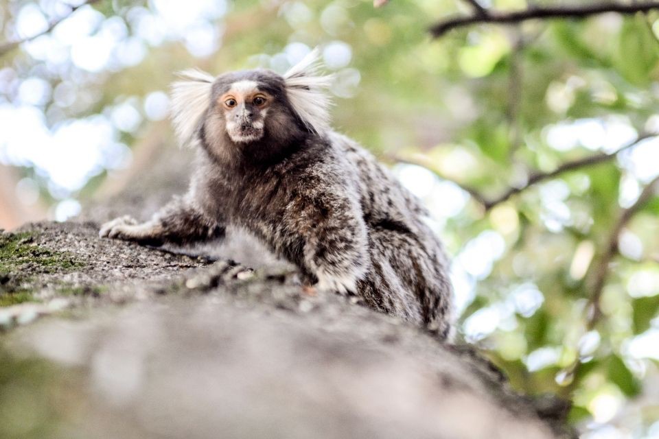 Foto ilustrativa/Raquel Portugal/Funda&ccedil;&atilde;o Oswaldo Cruz