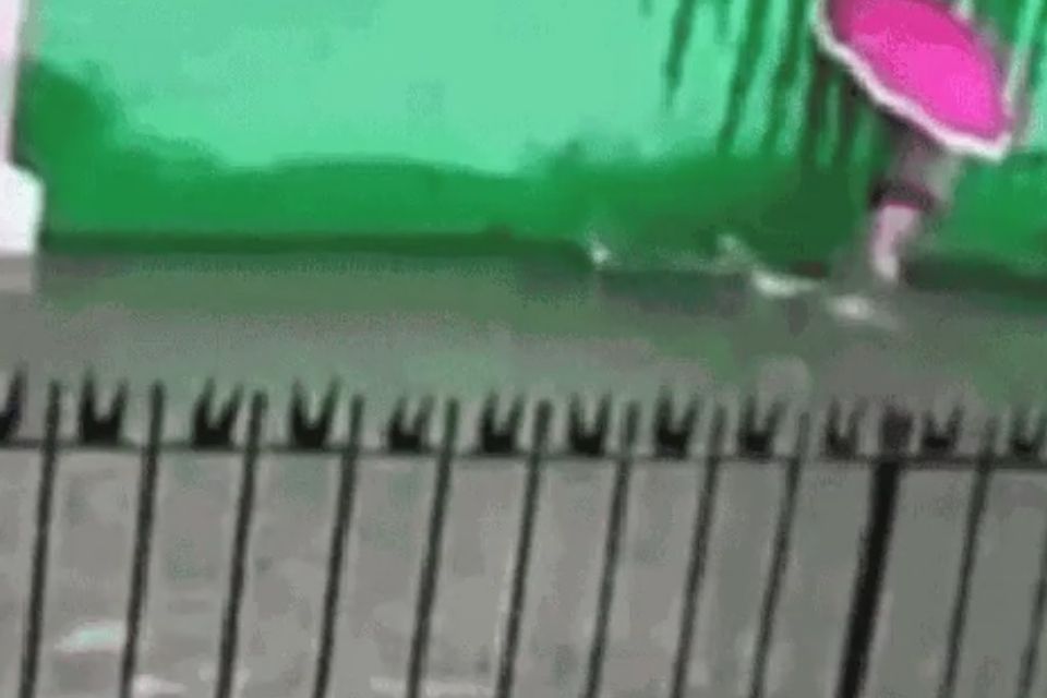 /Foto: Reprodu&ccedil;&atilde;o