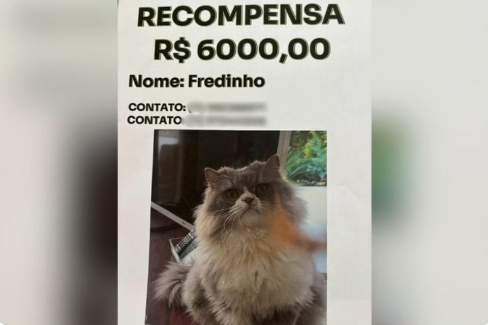 /Foto: Arquivo pessoal /Foto: Arquivo pessoal