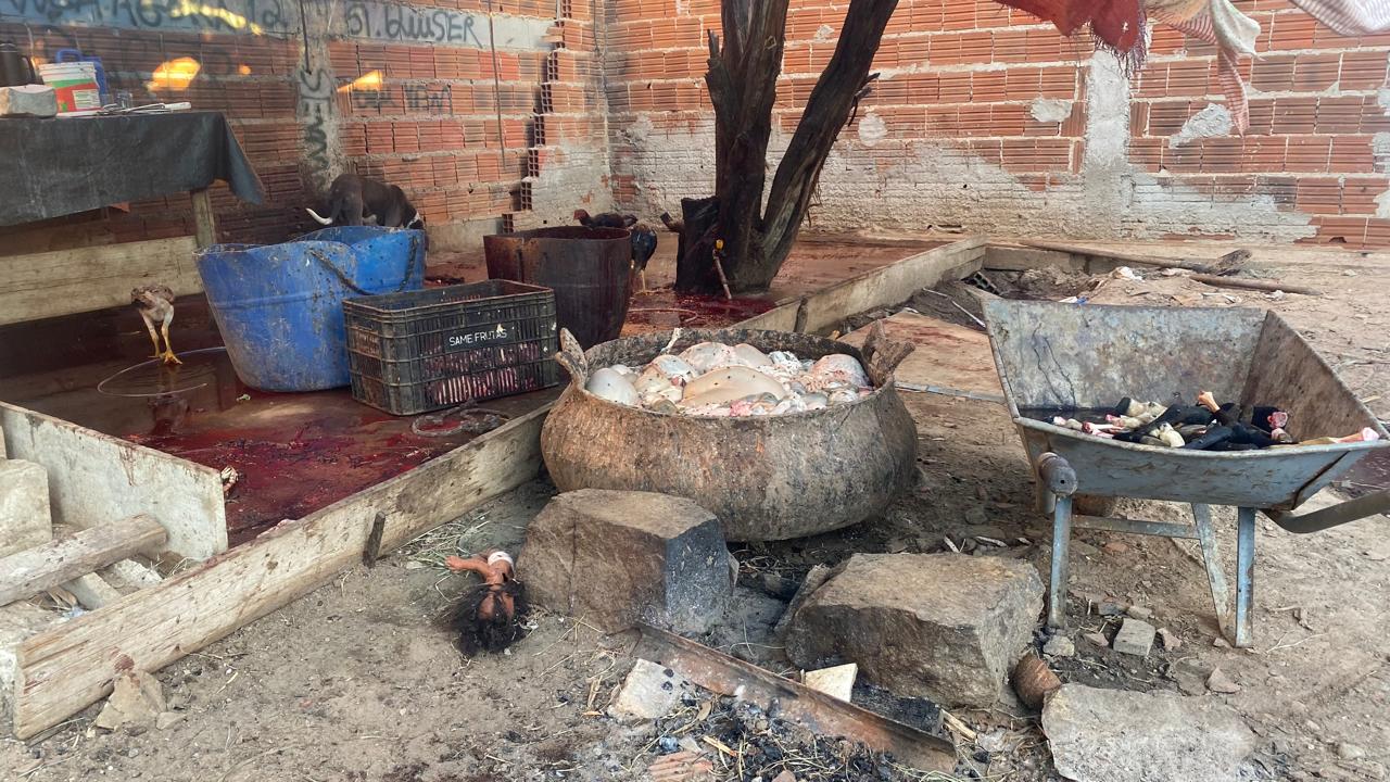 Abatedouro clandestino foi fechado/Foto: Prefeitura de Petrolina Abatedouro clandestino foi fechado/Foto: Prefeitura de Petrolina