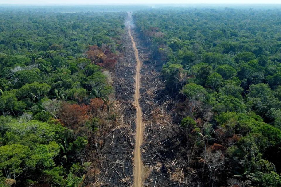 Dados foram divulgados pelo Ministério do Meio Ambiente e Mudança do Clima (MME)