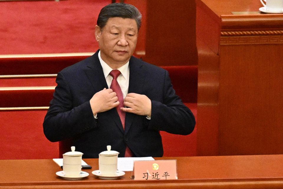 Presidente da China, Xi Jinping/Foto: Pedro Pardo/AFP