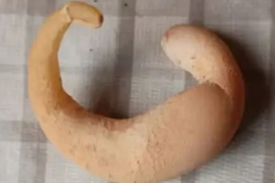 Fatores como o calor, a superlotação dos galinheiros, as doenças e os estresse das aves podem atrapalhar a postura da galinha e causar anormalidade do ovo - como o formato meia-lua/foto: Reprodução/Youtube Globo Rural Fatores como o calor, a superlotação dos galinheiros, as doenças e os estresse das aves podem atrapalhar a postura da galinha e causar anormalidade do ovo - como o formato meia-lua/foto: Reprodução/Youtube Globo Rural