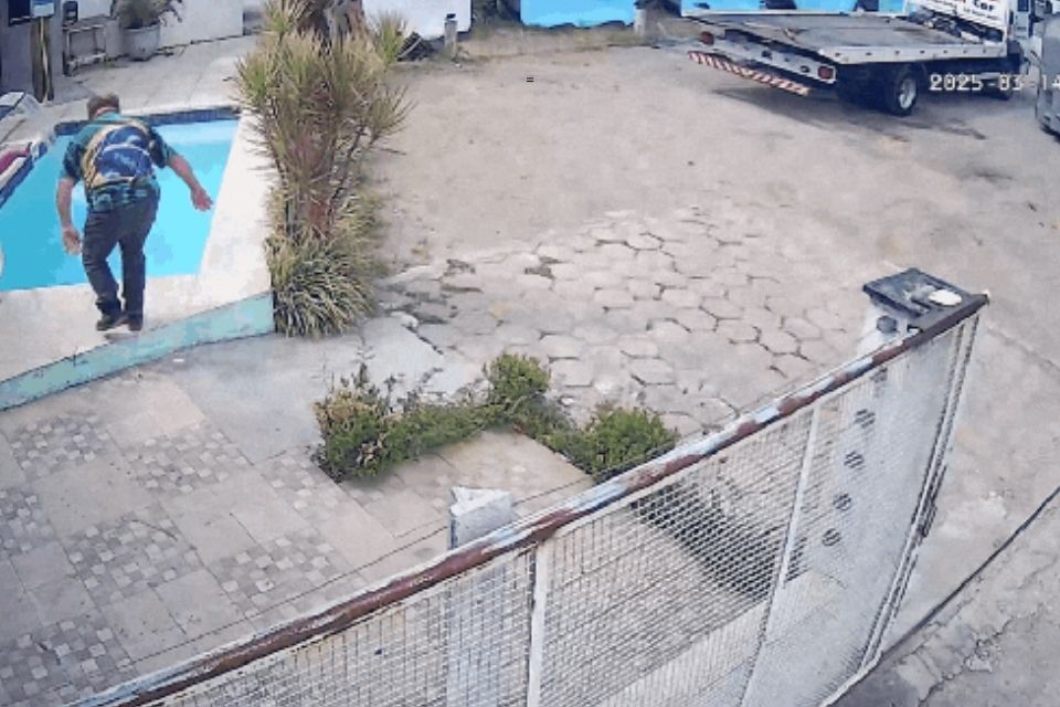 /Foto: Reprodução