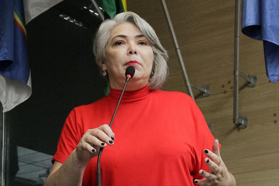 /Divulgação/Câmara Municipal do Recife /Divulgação/Câmara Municipal do Recife