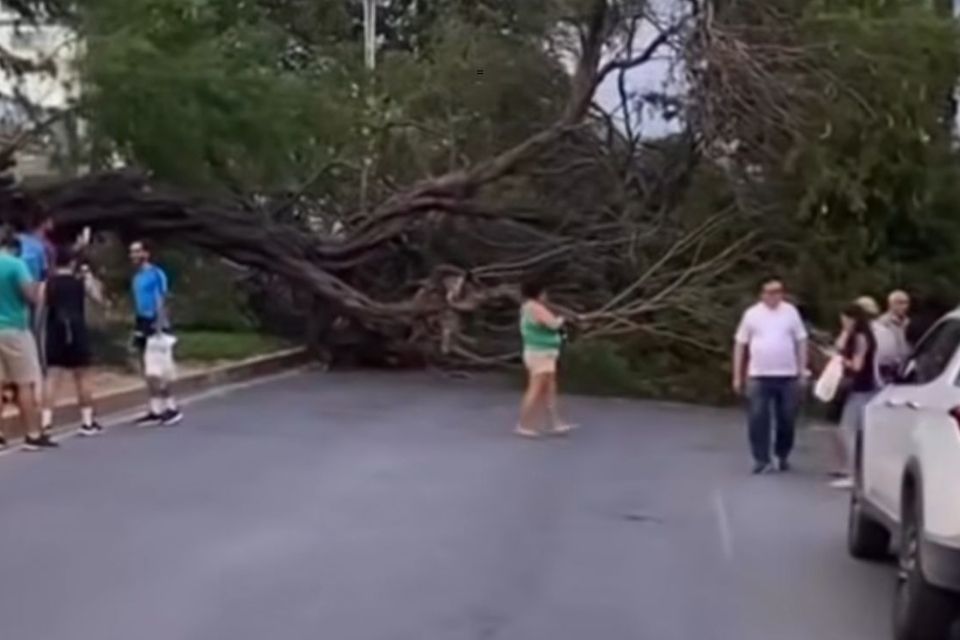 Idoa foi resgtada sem ferimentos/Foto: Reprodu&ccedil;&atilde;o/Instagram