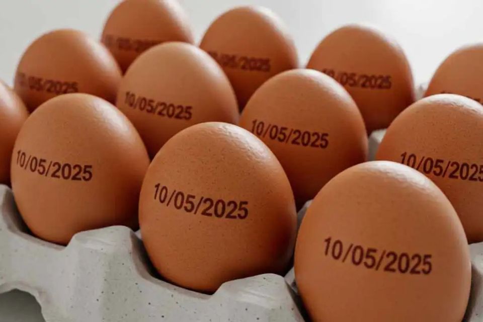 Produtores afirmam que alta de exportações não teve impacto/foto: Prefeitura de Palmas/Divulgação