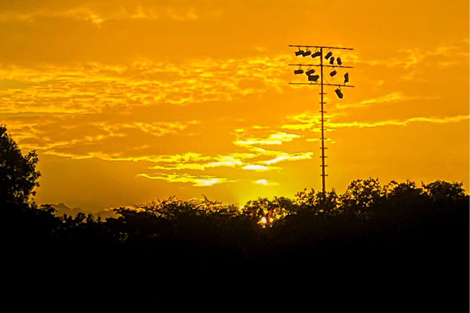O outono é uma estação considerada de transição entre o verão quente e úmido e o inverno frio e seco/Crédito: Rafael Vieira / DP