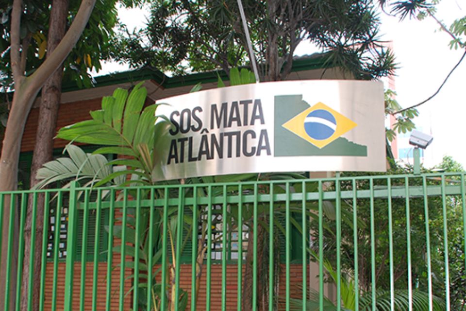 /Foto: Arquivo/ SOS Mata Atlântica
