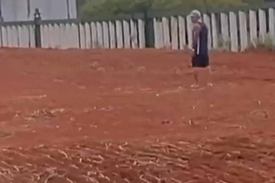 Homem invade recintos para elefantes no Zoo/foto: Material cedido ao Correio Homem invade recintos para elefantes no Zoo/foto: Material cedido ao Correio