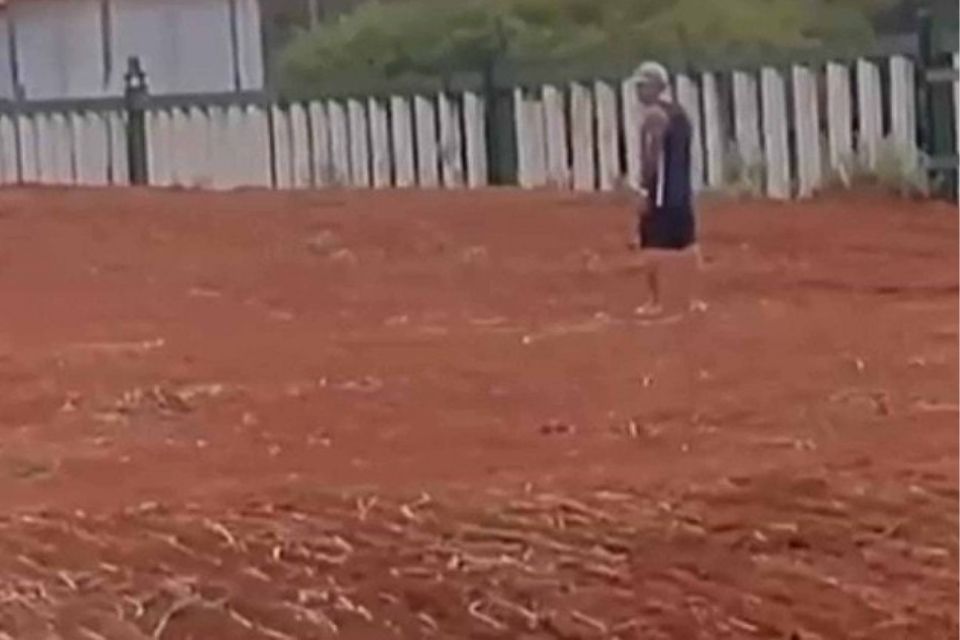 Homem invade recintos para elefantes no Zoo/foto: Material cedido ao Correio