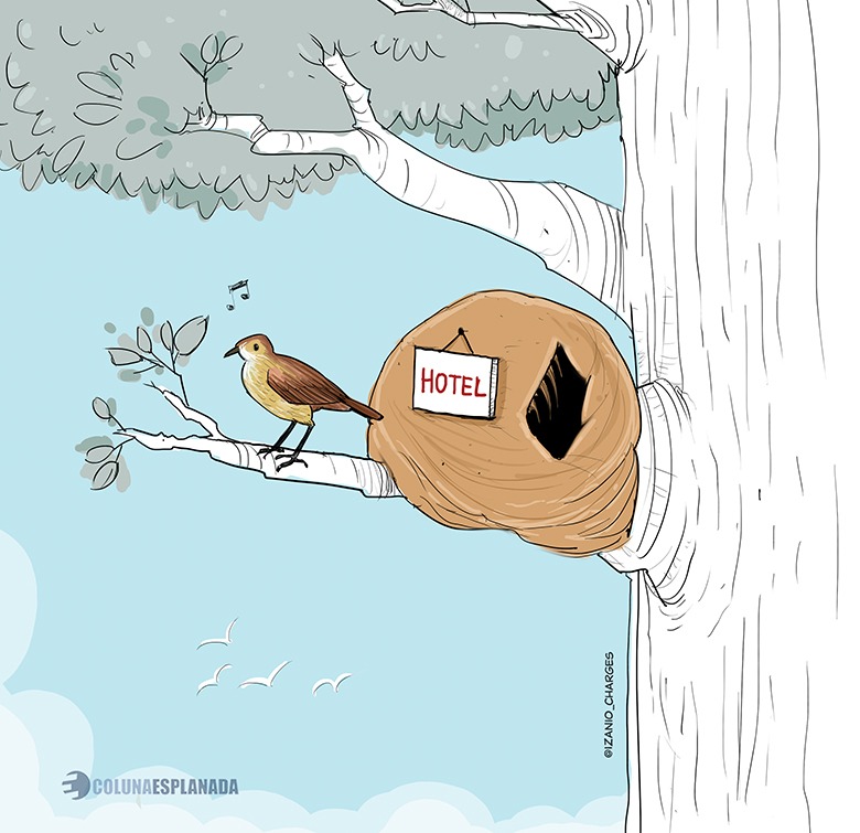 /Charge: Izanio Fa&ccedil;anha